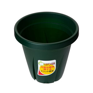 @avX`bN@͂蔫@4@_[NO[@֓