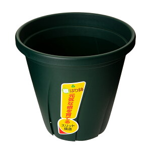 ���@��a�v���X�`�b�N�@���͂蔫�@7���@�_�[�N�O���[���@�֓�������