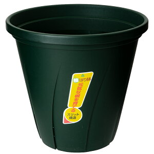 @avX`bN@͂蔫@10@_[NO[@֓