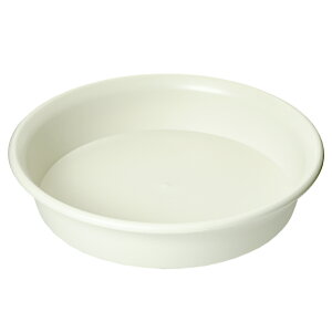 ��a�v���X�`�b�N�@�m�[�~�B�v���[�g�@8���@�A�C�{���[�@�֓�������