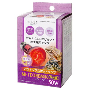 }J@eIoXN@ԊO@50W@঒ޗpv@oXLOX|bgv@֓