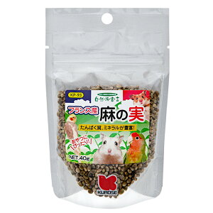 黒瀬ペットフード 自然派宣言 フランス産麻の実 40g おやつ 鳥 ハムスター リス 関東当日便