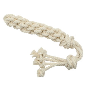 ݂݂ЂςRbg[v@L@^p@@nhCh@֓