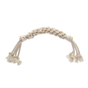 ݂݂ȂЂRbg[v@M@^@^p@@nhCh@Leaf@֓