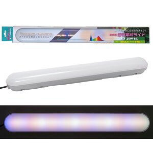 A琬Cg@a@HƁ@u^A琬Cg@֓