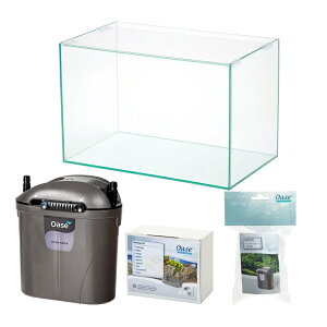 AN×Oase@45cmZbg@ll1_@֓