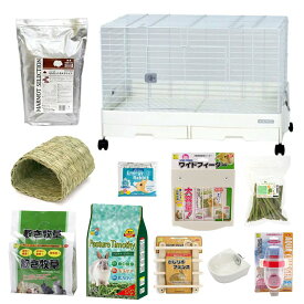 モルモットのはじめて飼育セット　スターターセット　スタートセット（81×50．5×55cm）　関東当日便