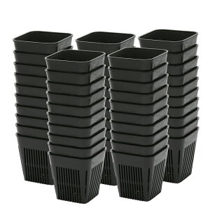 Xbg@}WJ|bg@90@2D5×50@300cc@@T{e@֓