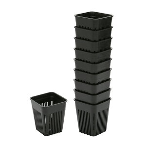 Xbg@}WJ|bg@75@2@225cc@@10@T{e@֓