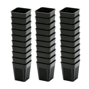 Xbg@}WJ|bg@75@2×30@225cc@@T{e@֓