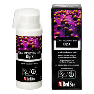 bhV[@Dip@X@250ml@TS@CubN@fBbv܁@񐶐@܁@֓