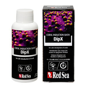 bhV[@Dip@X@100ml@TS@CubN@fBbv܁@񐶐@܁@֓