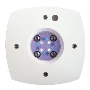 AI PRIME(プライム) 16 Sol ホワイト LPS・海水魚向け 関東当日便