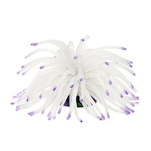 [XC@ZEST@vJTS@M|10@zCgp[v@֓