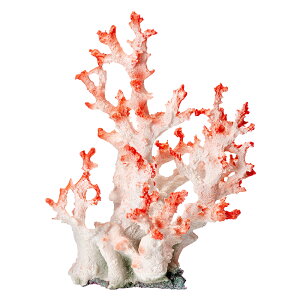 [XC@ZEST@vJTS@L|4@zCgsN@֓