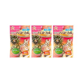 マルカン　もぎたてトロピカル　お徳用　160g×3　うさぎ　おやつ　関東当日便