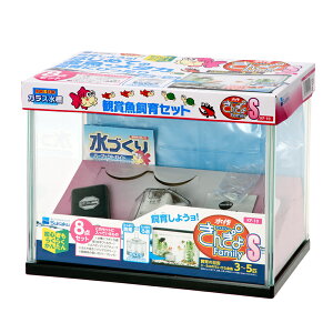 @Zbg@NEW@񂬂t@~[@S@ll2_@@@֓