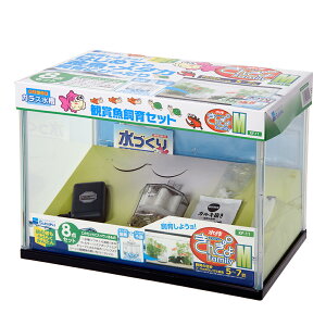 @Zbg@NEW@񂬂t@~[@M@ll1_@@@֓