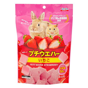 Xh[@v`EGn[@@50@@nX^[@@֓