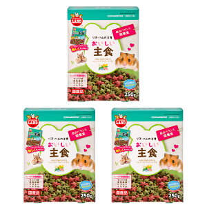 }J@XEnX^[̂H@250g×3@nX^[t[h@@GT@a@֓