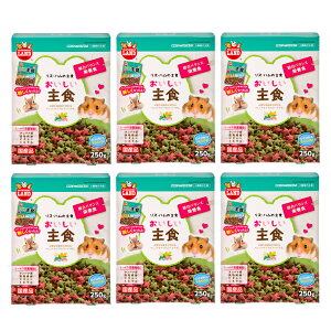 }J@XEnX^[̂H@250g×6@nX^[t[h@@GT@a@֓