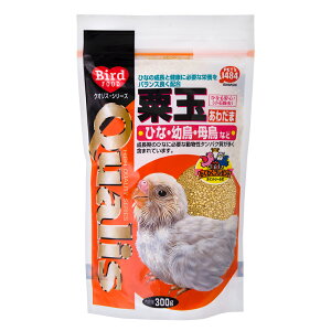 �N�I���X�@���ʁi���킾�܁j�@300g�@���@�t�[�h�@�a�@�����@���i����j�@�֓�������