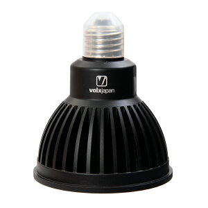 {NXWp@Grassy@LeDio@RX121s@Fresh@@@Cg@Ɩ@֓