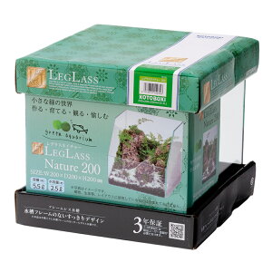 �R�g�u�L�H�|�@���O���X�@�l�C�`���[200�@�����i�P�́j�@����l�l5�_����@�֓�������