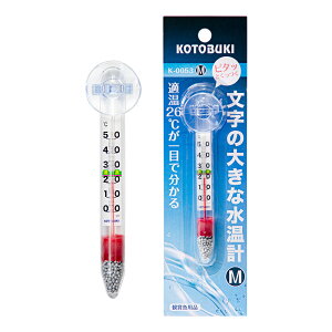 v@RguLH|@K|0053@̑傫ȐvM@֓