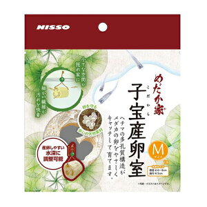 jb\[@߂Ɓ@qY@M@Y@ւ܁@E@[\@֓