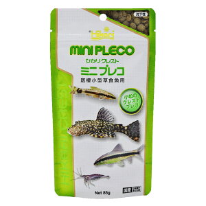 L[@ЂNXg@~jvR@85g@ll30_@֓