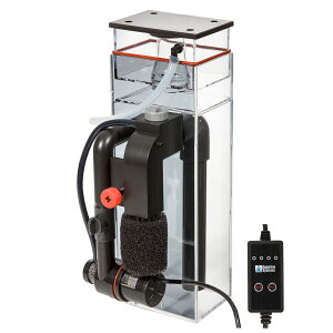 AEgbgi@ANAE@VXeY@XL@M|80@nOIveCXL}[@󂠂@֓