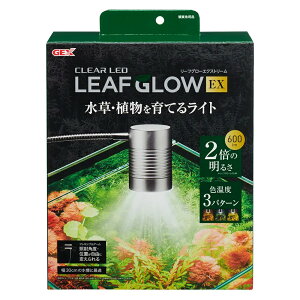 GEX@[tO[@GNXg[@ドCg@600lm@Fx3ށ@ANAE@@Ɩ@֓