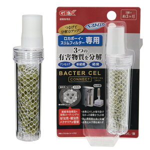 GEX@oN^[ZRlNg@DCECoNeA@֓