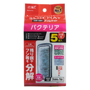 GEX@oNeAX}bg@5@N@֓