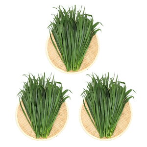 iϗtAj3Zbg@Y@ƂꂽĐq@I[cwC@300gi100g×3j@@@NK