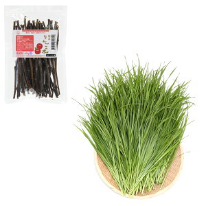 iϗtAjY@񂲂̖؋ɍ׎}40g{ƂꂽĐqC^ACOX500g@@USAYAMA