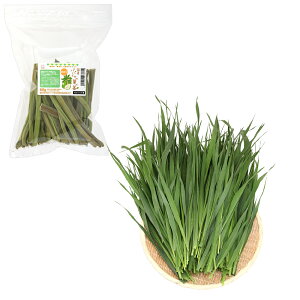 iϗtAjY@󂠂ppC̗ťs60g{ƂꂽĐqI[cwC500g@@USAYAMA