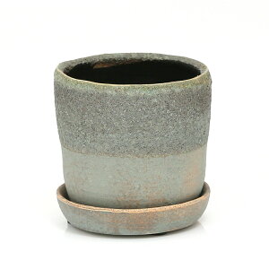 Aؔ@oO[@S@3D5@R[fbNX@T{e@A@֓