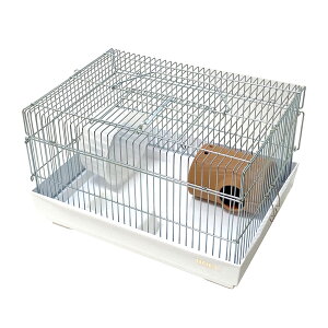 nX^[Q[W@HOEI@40nX^[@zCg@i39D6×29D7×24cmj@nX^[@bg@}EX@P[W@W[r@֓