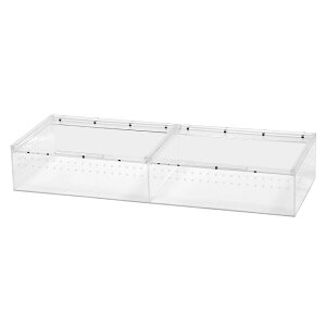 ঒ރP[W@NAANP[W@2A^Cv@֓