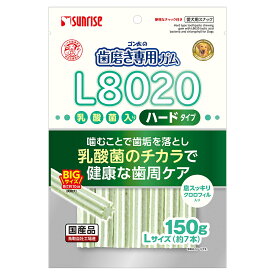 ゴン太の歯磨き専用ガムLサイズ　L8020乳酸菌入り　ハード　クロロフィル入り　150g　関東当日便