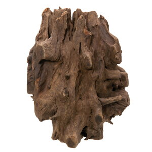 J~n^@^CYVR؁@c[{gEbh@XL@26×25×27cm@ANAE@@֓