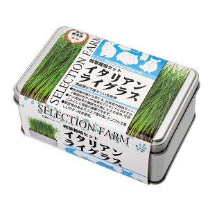 C[X^[@ZNVt@[@q͔|Zbg@C^ACOX@֓