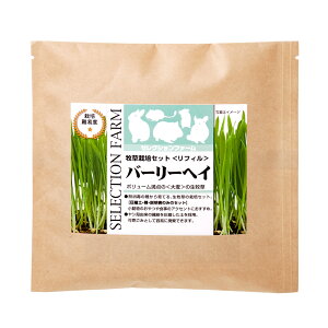 C[X^[@ZNVt@[@q͔|ZbgtB@o[[wC@֓