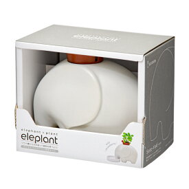 聖新陶芸　eleplant　ホワイト　ワイルドストロベリー　栽培　栽培セット　家庭菜園　ギフト　関東当日便