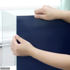 obNXN[@ARTIiAeBj@CfBS@5m@i500×50cmj@یV[g@֓