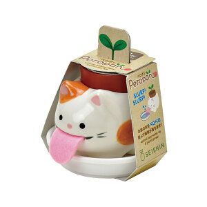 V|@Peropon@Lbg@~PlR@ChXgx[@y|@͔|Zbg@ƒ؉@Mtg@֓