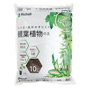 |{y@b`F@ŇbR@ϗtA̓y@10L@RoG΍@֓