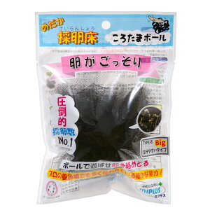 ~vX@낽܃{[@߂̗@TYPE|B@݂₷^Cv@rbO@1@֓